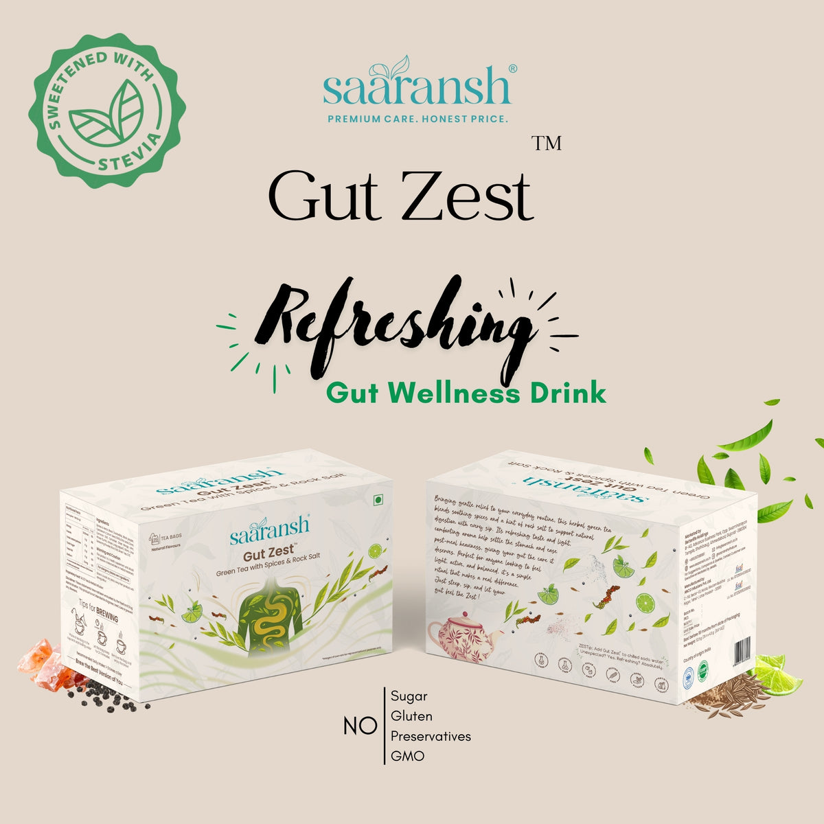 Saaransh Gut Zestᵀᴹ Tea