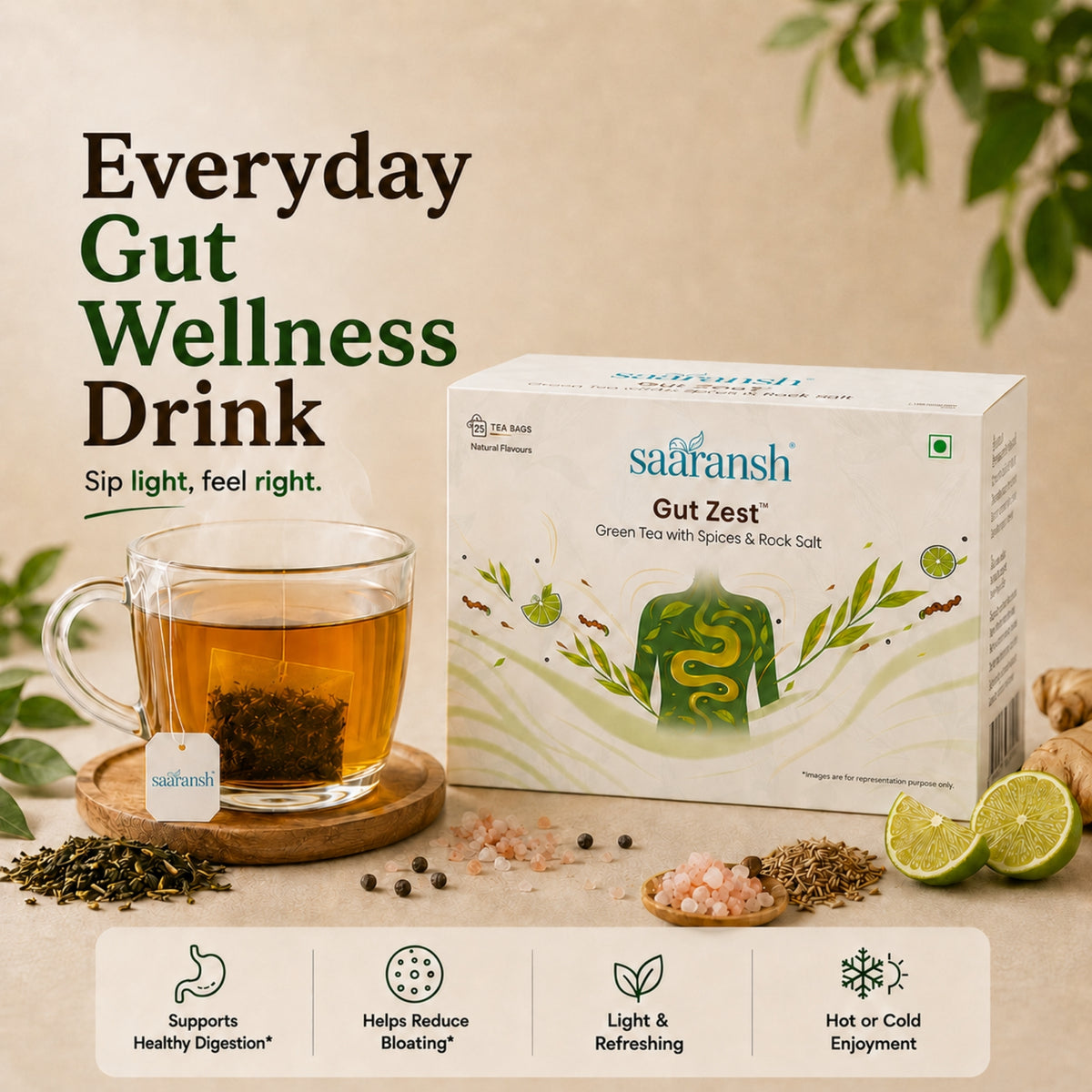 Saaransh Gut Zestᵀᴹ Tea